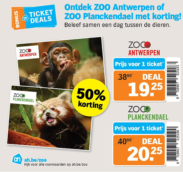 Image of Albert Heijn