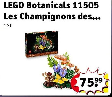 LEGO Botanicals 11505 Les Champignons des