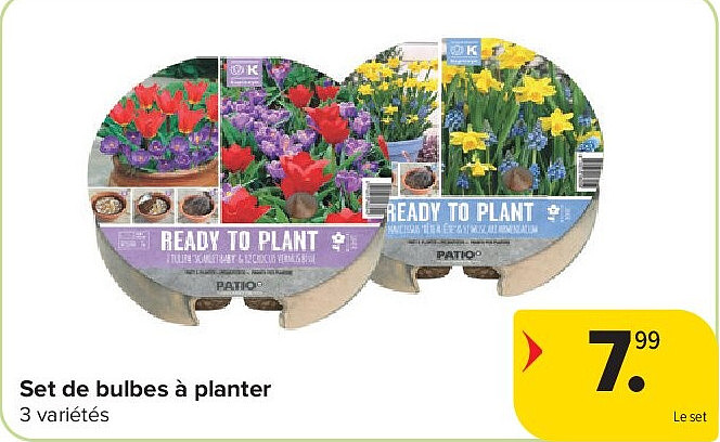 Set de bulbes à planter