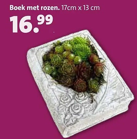 Boek met rozen. 17cm x 13 cm