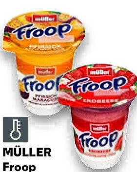 Froop