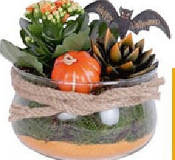 Plantenstukje