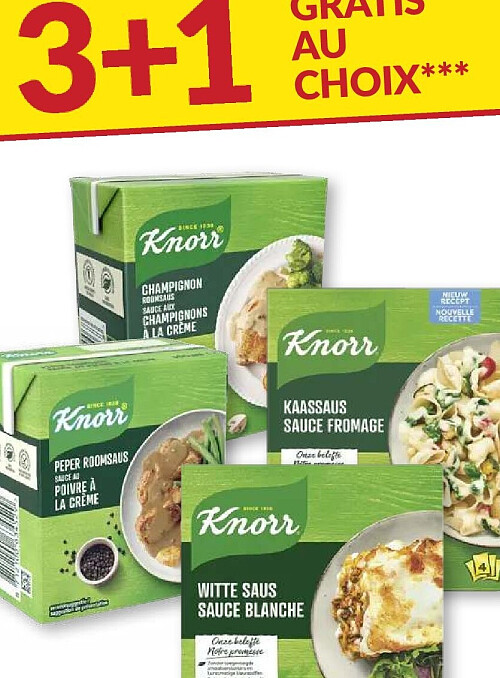 Knorr
