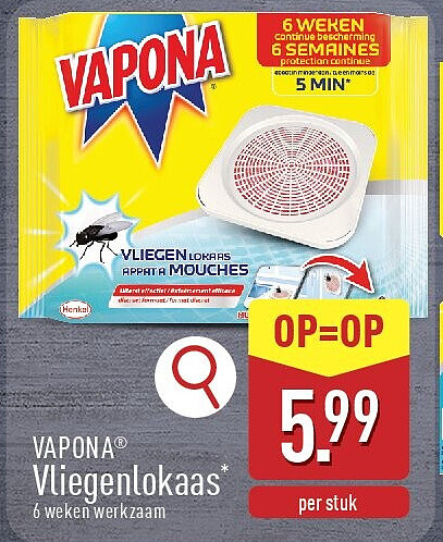 Vliegenlokaas