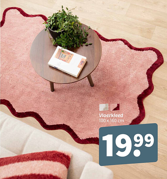 Vloerkleed