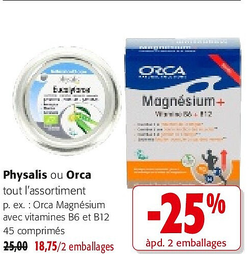 Physalis ou Orca
