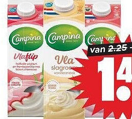 Campina vla