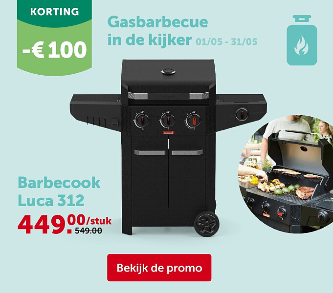 Barbecook Luca 312