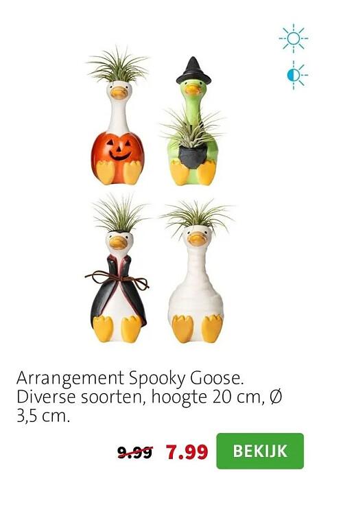 Arrangement Spooky Goose. Diverse soorten, hoogte 20 cm, Ø 3,5 cm.