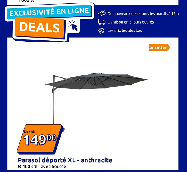 Parasol déporté XL - anthracite