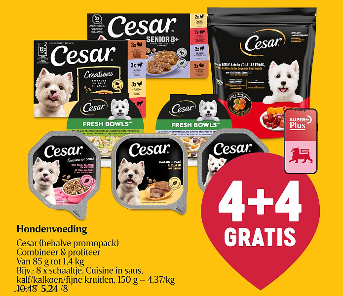 Hondenvoeding