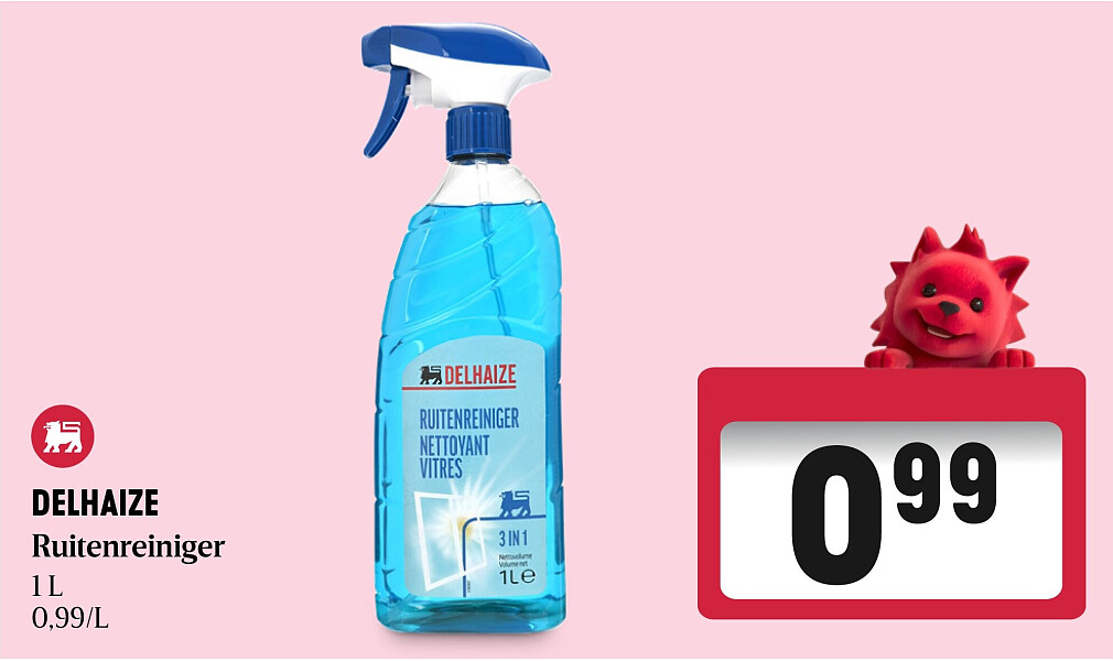 DELHAIZE Ruitenreiniger