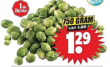 Hollandse spruiten