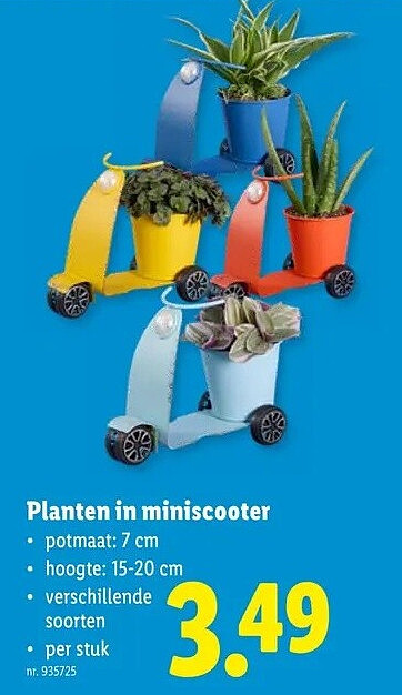 Planten in miniscooter