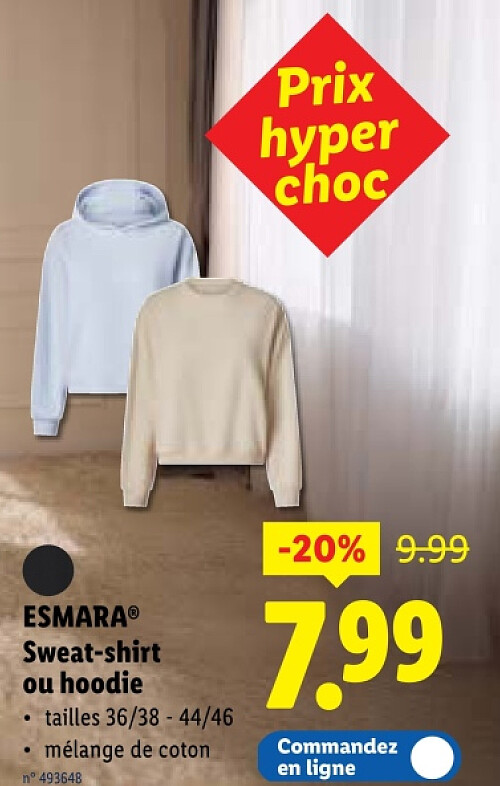 Sweat-shirt ou hoodie