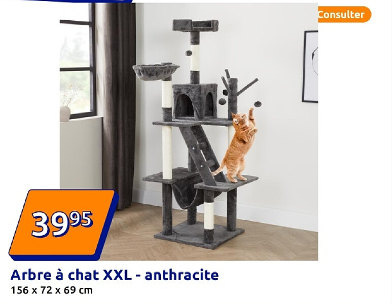 Arbre à chat XXL - anthracite