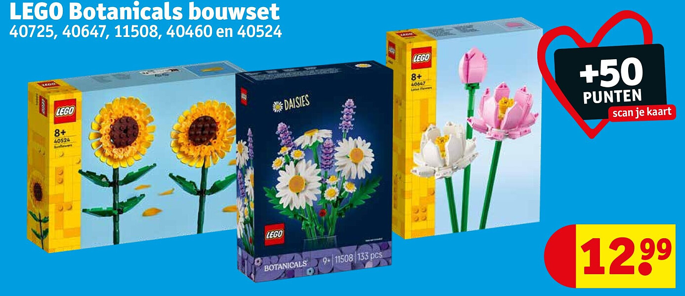 LEGO Botanicals bouwset