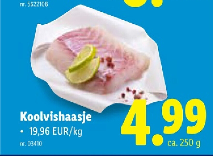 Koolvishaasje