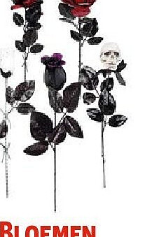 Bloemen