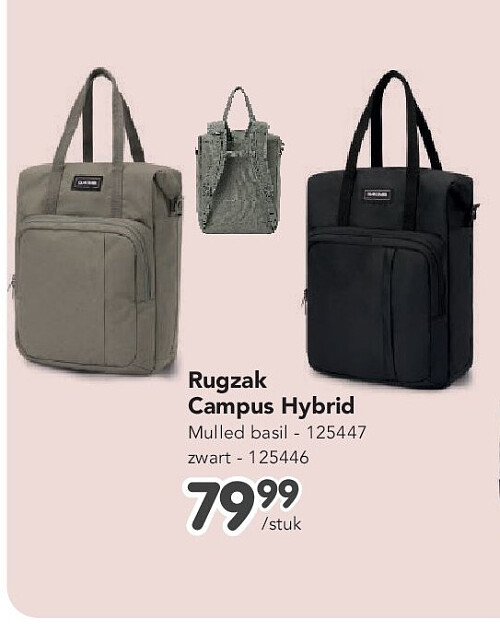 Rugzak Campus Hybrid Mulled basil - 125447 zwart - 125446