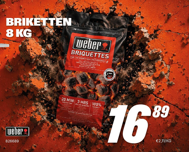 BRIKETTEN 8 KG
