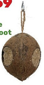 Gevulde kokosnoot