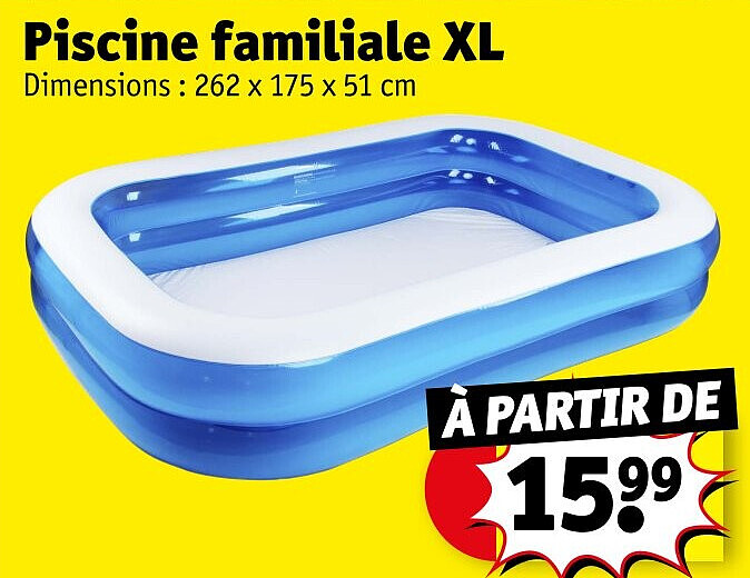 Piscine familiale XL 262 x 175 x 51 cm