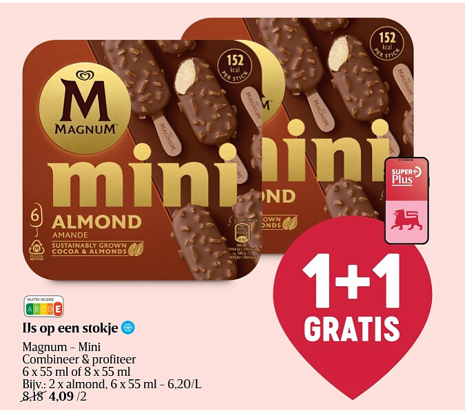 IJs op een stokje