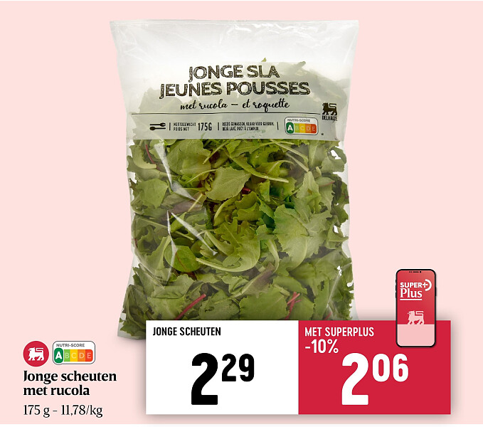 Jonge scheuten met rucola