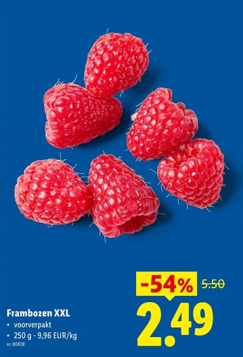 Frambozen XXL