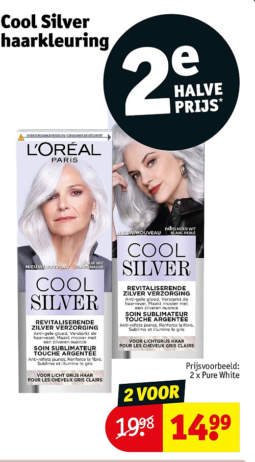 Cool Silver haarkleuring