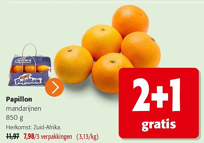 Papillon mandarijnen 850 g
