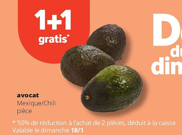 avocat