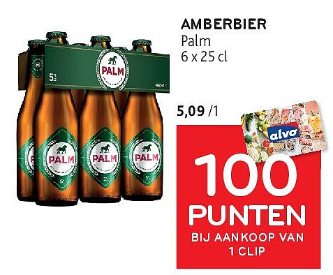 AMBERBIER Palm 6 x 25 cl