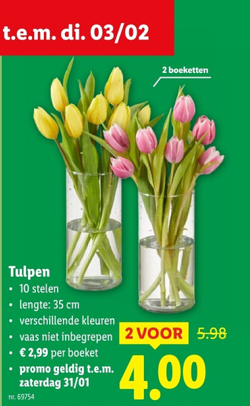 Tulpen