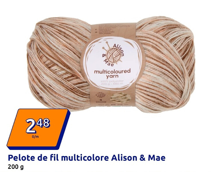Pelote de fil multicolore Alison & Mae