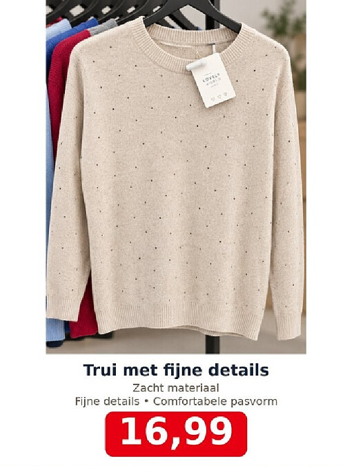 Trui met fijne details