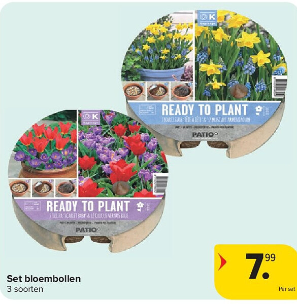 Set bloembollen