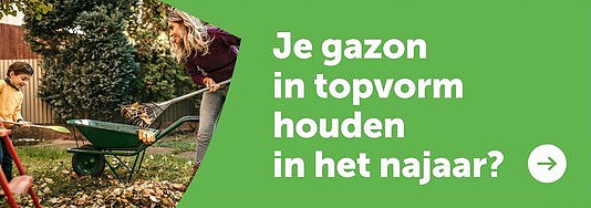 Je gazon in topvorm houden in het najaar?