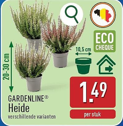 Heide