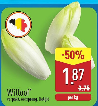 Witloof