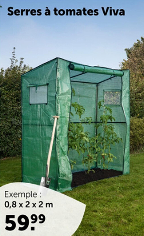 Serres à tomates Viva
