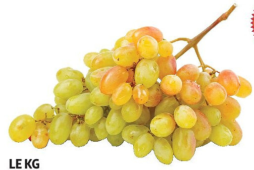 Raisin Chasselas de Moissac AOP