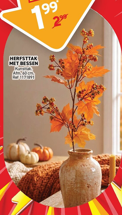 Herfsttak met bessen