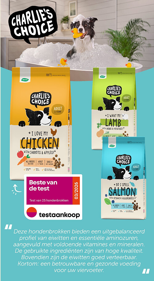 Droogvoer voor honden Adult