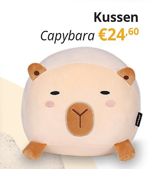 Kussen