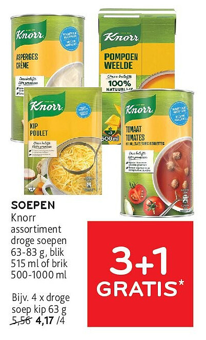 SOEPEN droge soep kip 63 g