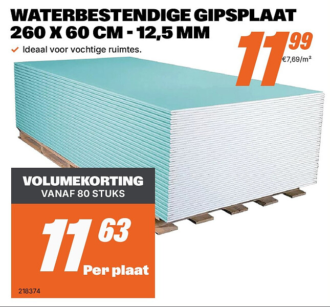 WATERBESTENDIGE GIPSPLAAT 260 X 60 CM - 12,5 MM