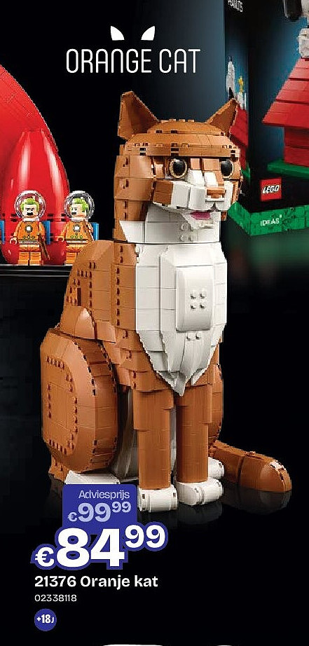 21376 Oranje kat