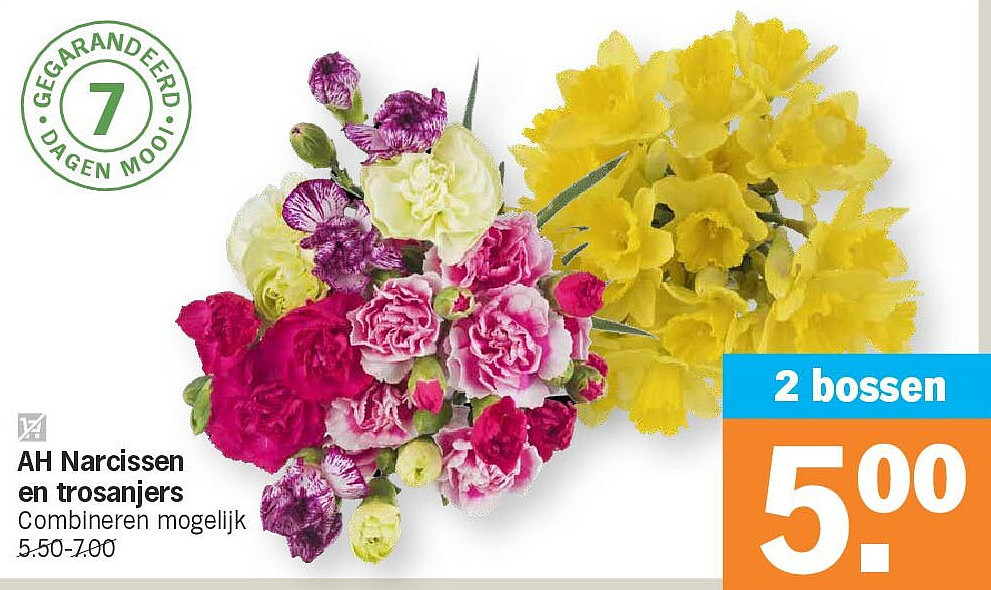 AH Narcissen en trosanjers